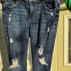 Distressed Darj Denim Skinny Jean
